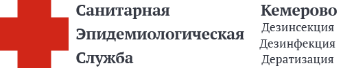 СЭС Кемерово