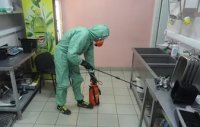 Услуги дезинсекции в Кемерово